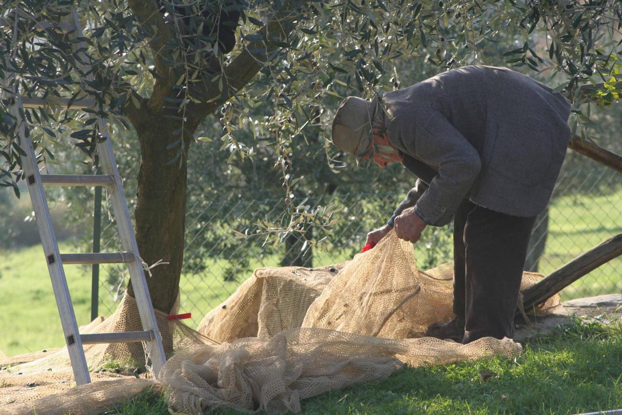 Agriturismo Le Ceregne Bio Pieve Santo Stefano Exteriér fotografie